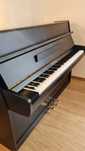 Pianino  Calisia