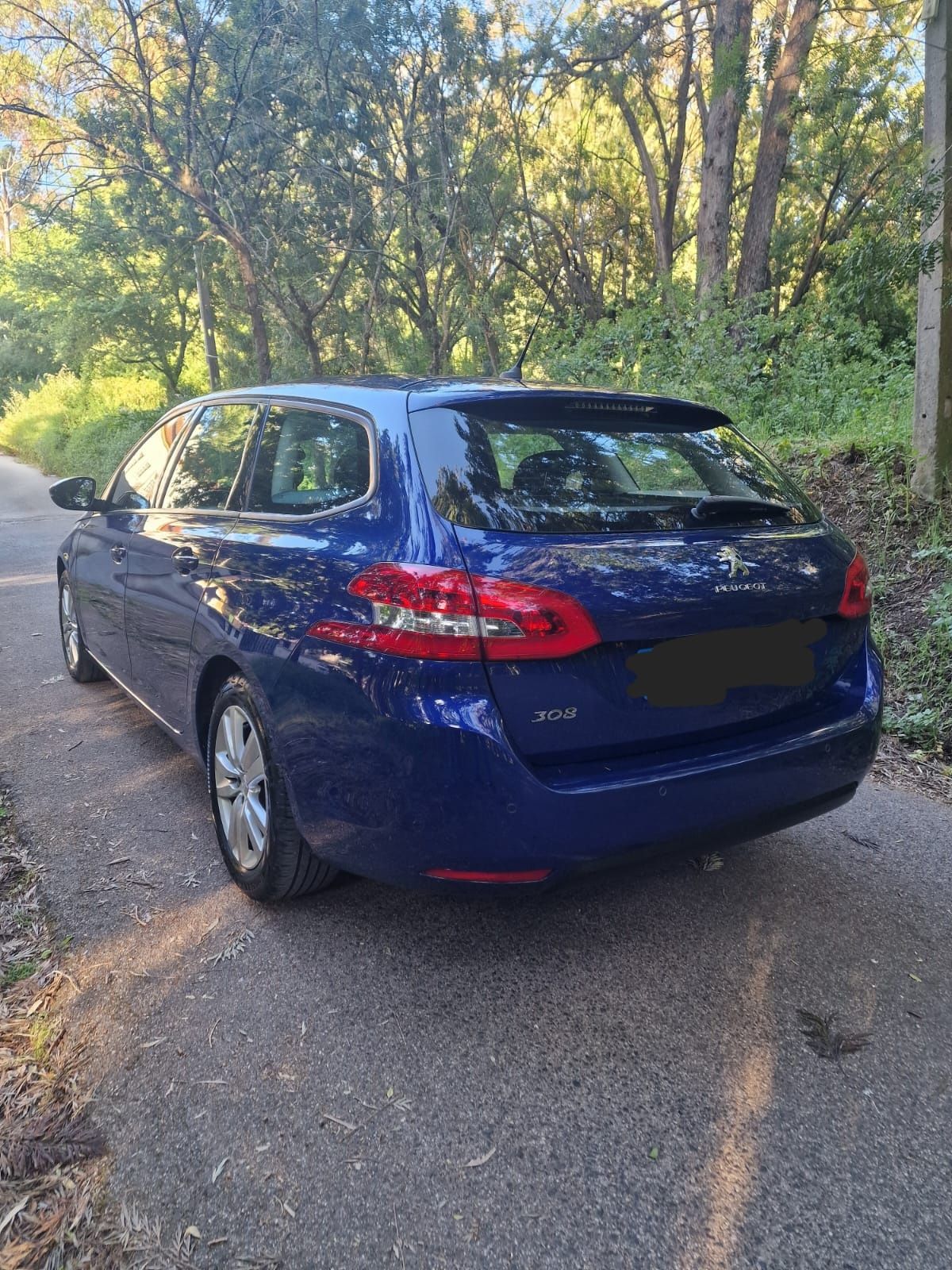 Peugeot 308 de 2019/11