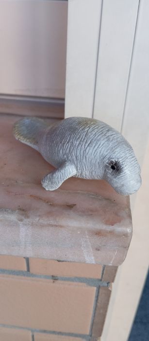 Animal leão marinho 1992