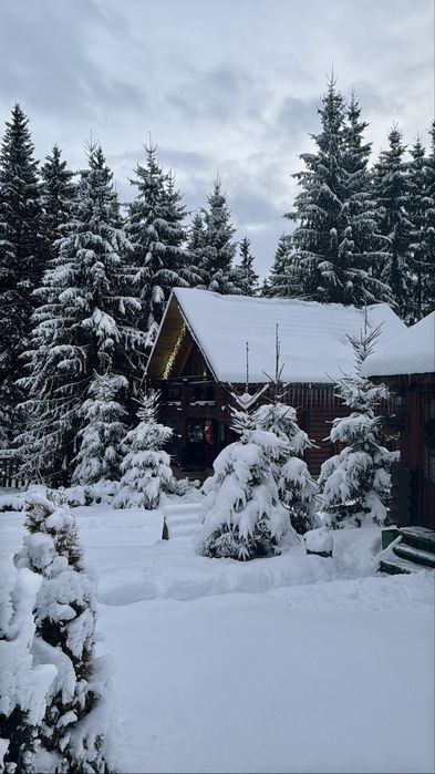 Затишний дерев'яний будиночок у тиші лісу на 4+2 осіб