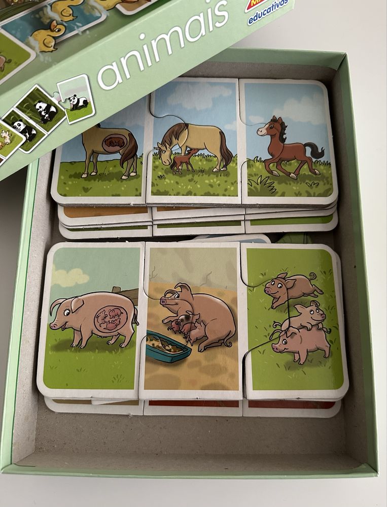 Jogo - A lição do sabichão: animais