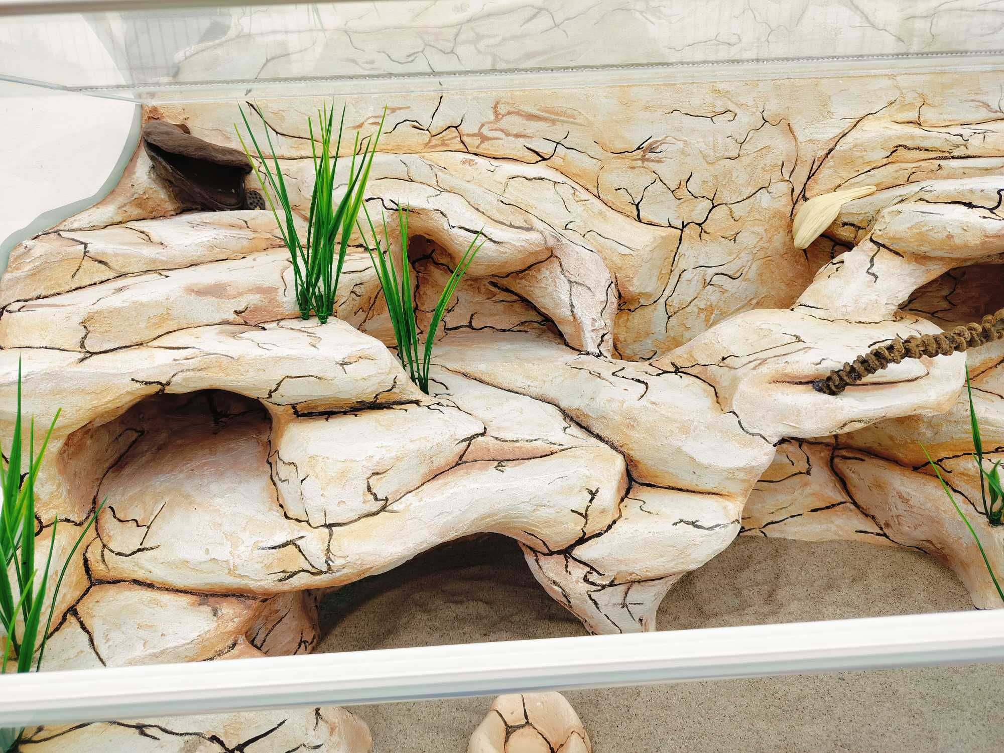 Terrarium dla agamy karłowatej, pytona królewskiego, TW48W3L AquaWaves