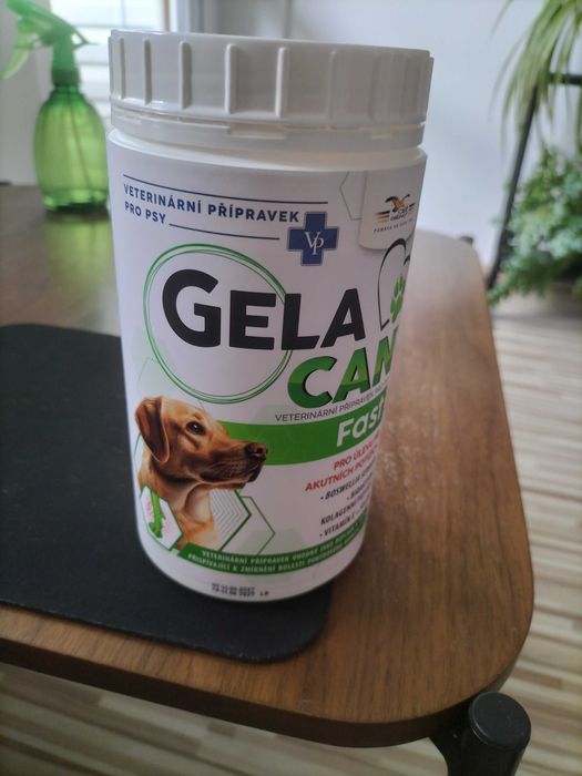 Kolagen dla psa GELACAN FAST