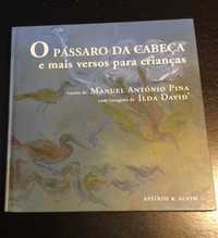 Livro o Pássaro da Cabeça