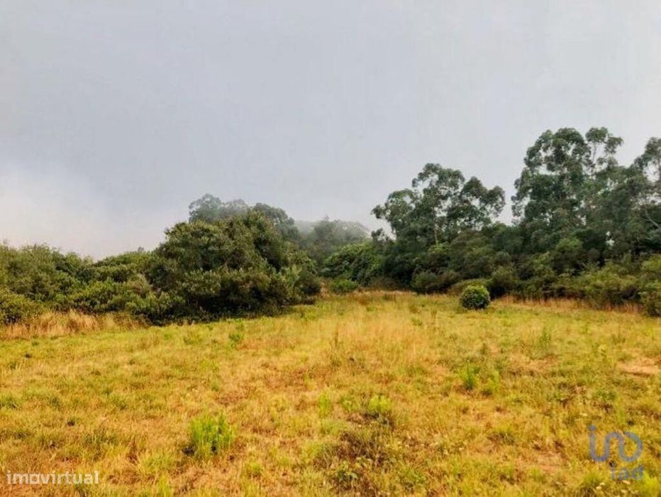 Terreno em Colares de 11640,00 m2