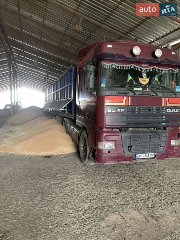 DAF 95XF + зерновоз (бортовий напівпричіп)