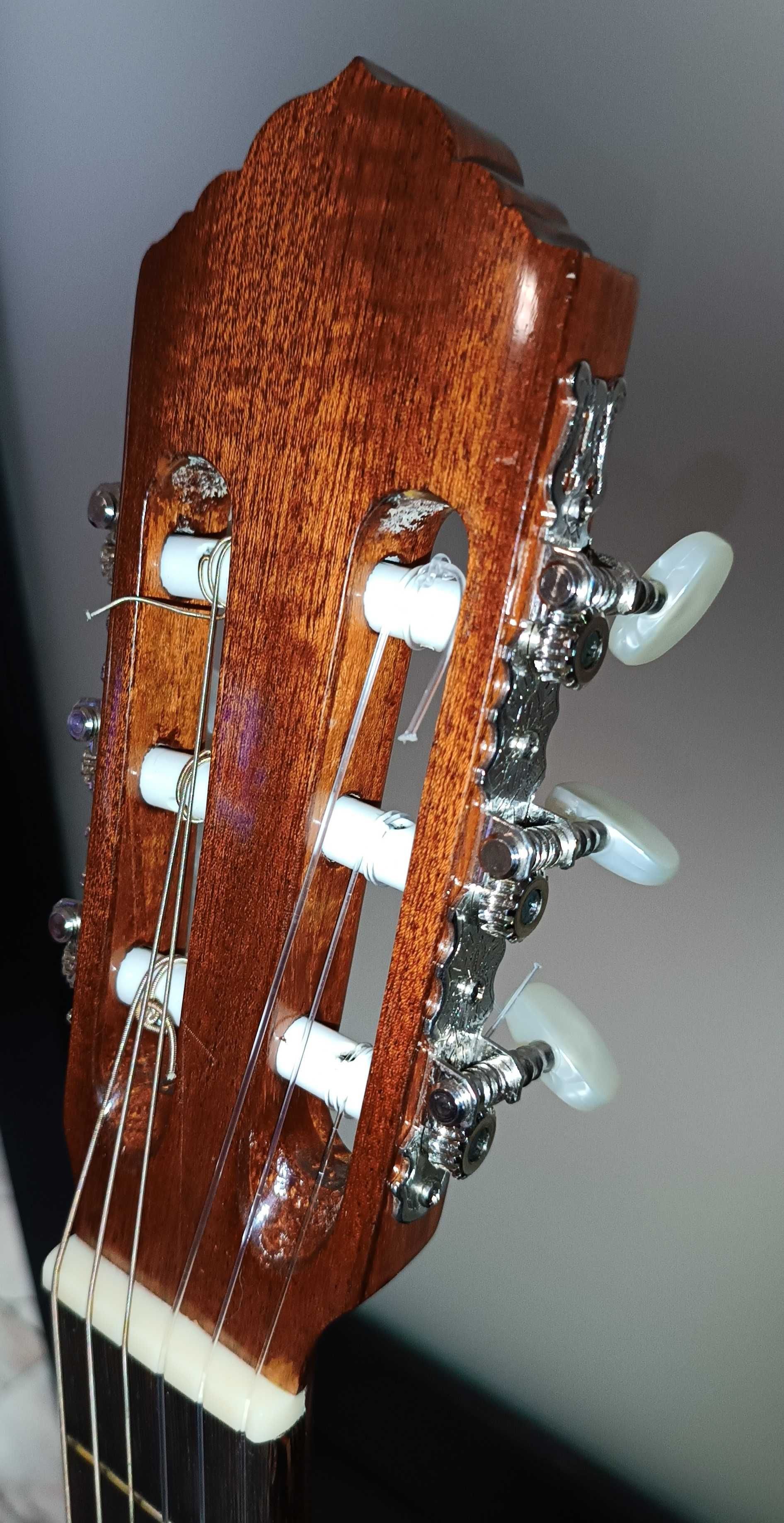Guitarra Portuguesa APC 203 (solid top) + Bag  - Great Deal