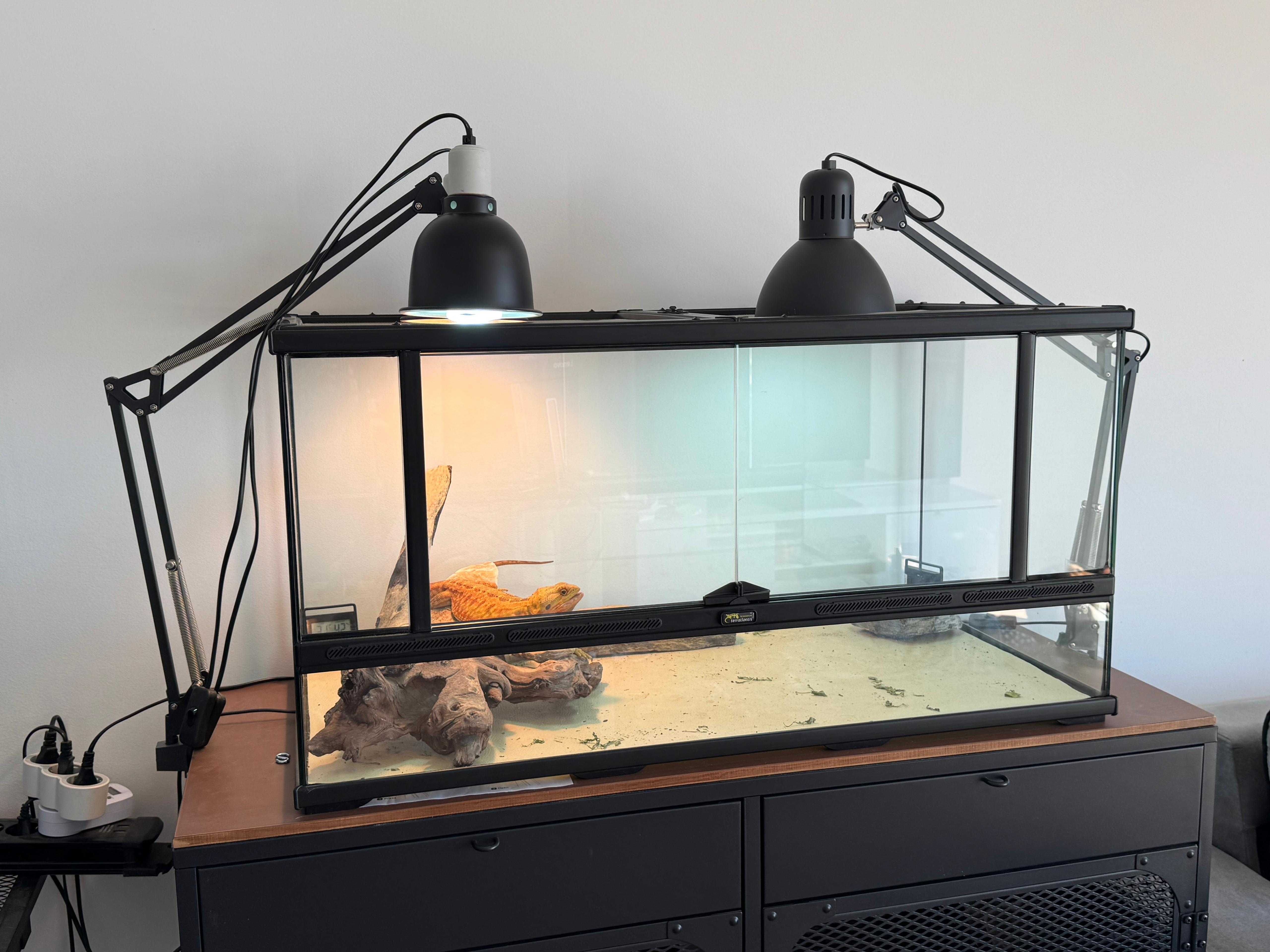 Terrario/Aquaterrario Repteis/Anfibios  88x45x45cm Terratlantis