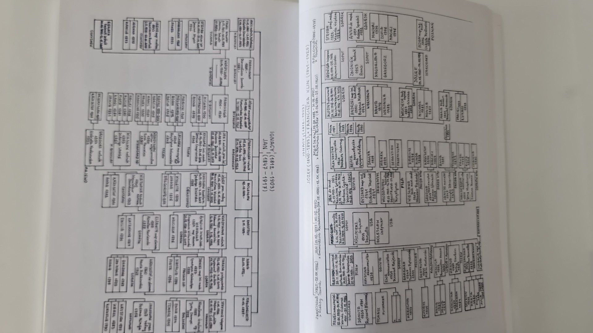 Czapka Na Gwoździu Raszeja Raszejowie drzewo genealogiczne ród rodzina