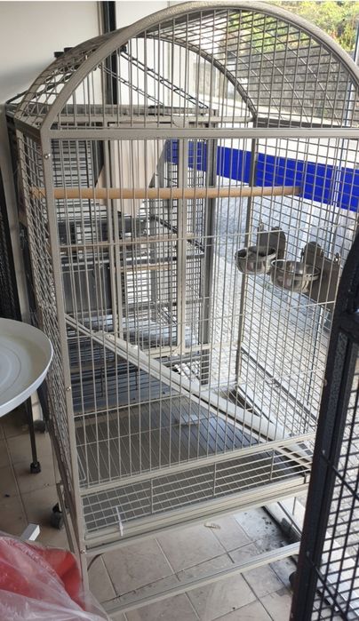 Diversas Gaiolas em loja