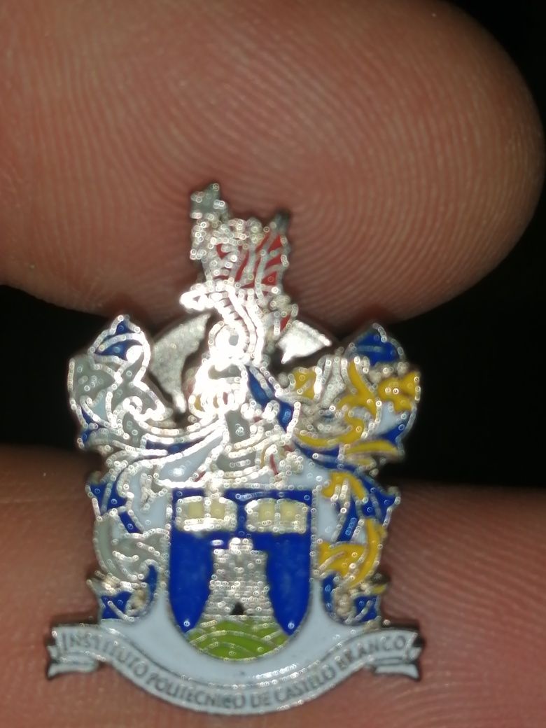 Pin do Instituto Politécnico de Castelo Branco