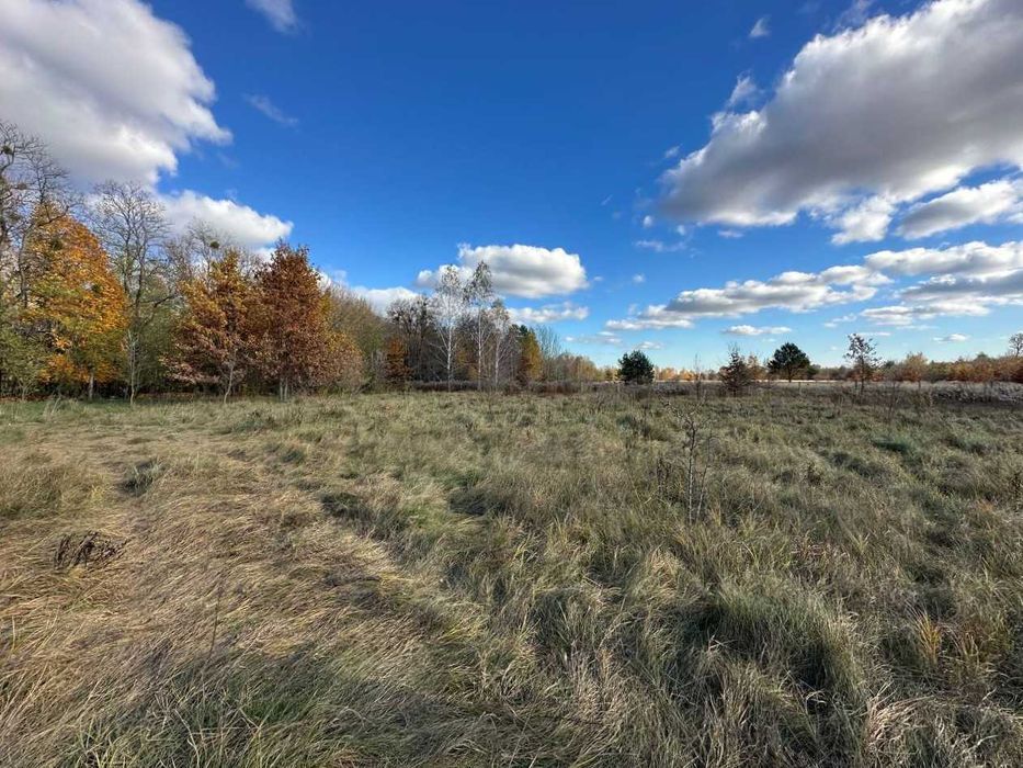 Продаж ділянки 38сот під забудову. Електрика поруч. Біля лісу. ID:732