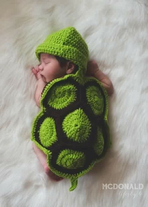 Fatinho tartaruga para sessões fotográficas. Novo