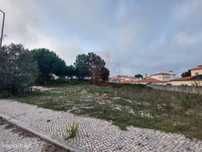 Lote de Terreno com Projeto Aprovado no Nadadouro