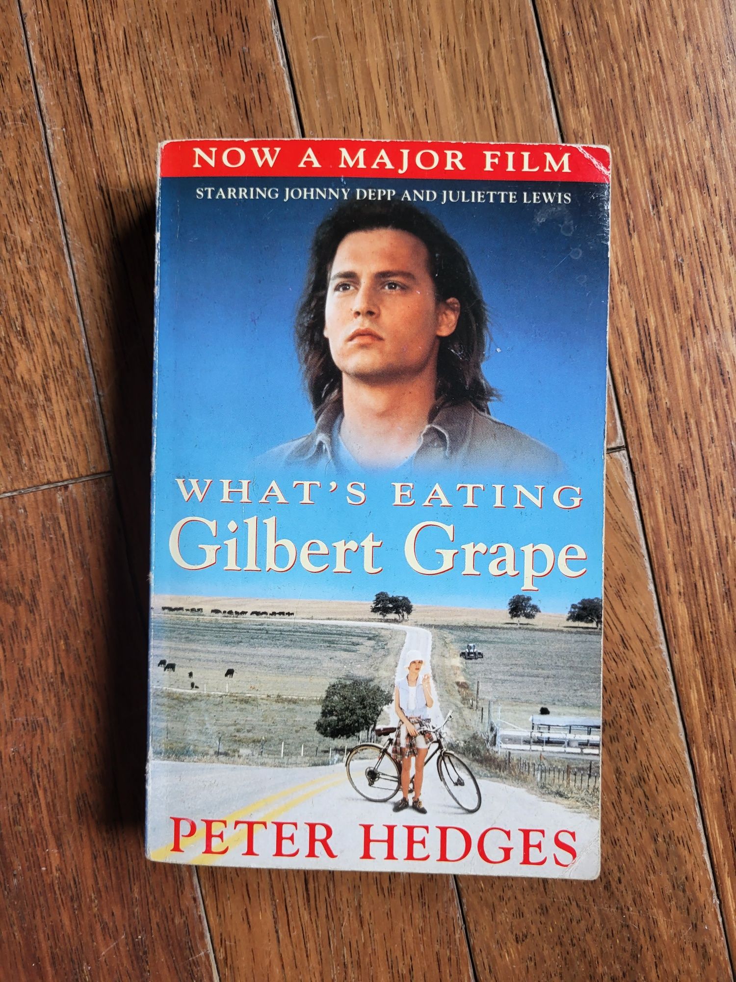 Peter Hedges - What's eating Gilbert Grape
