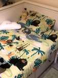 Conjunto capa de cama + almofada