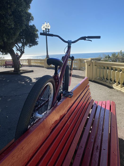 Bicicleta Dirt Jump / grau NS Bikes 26”