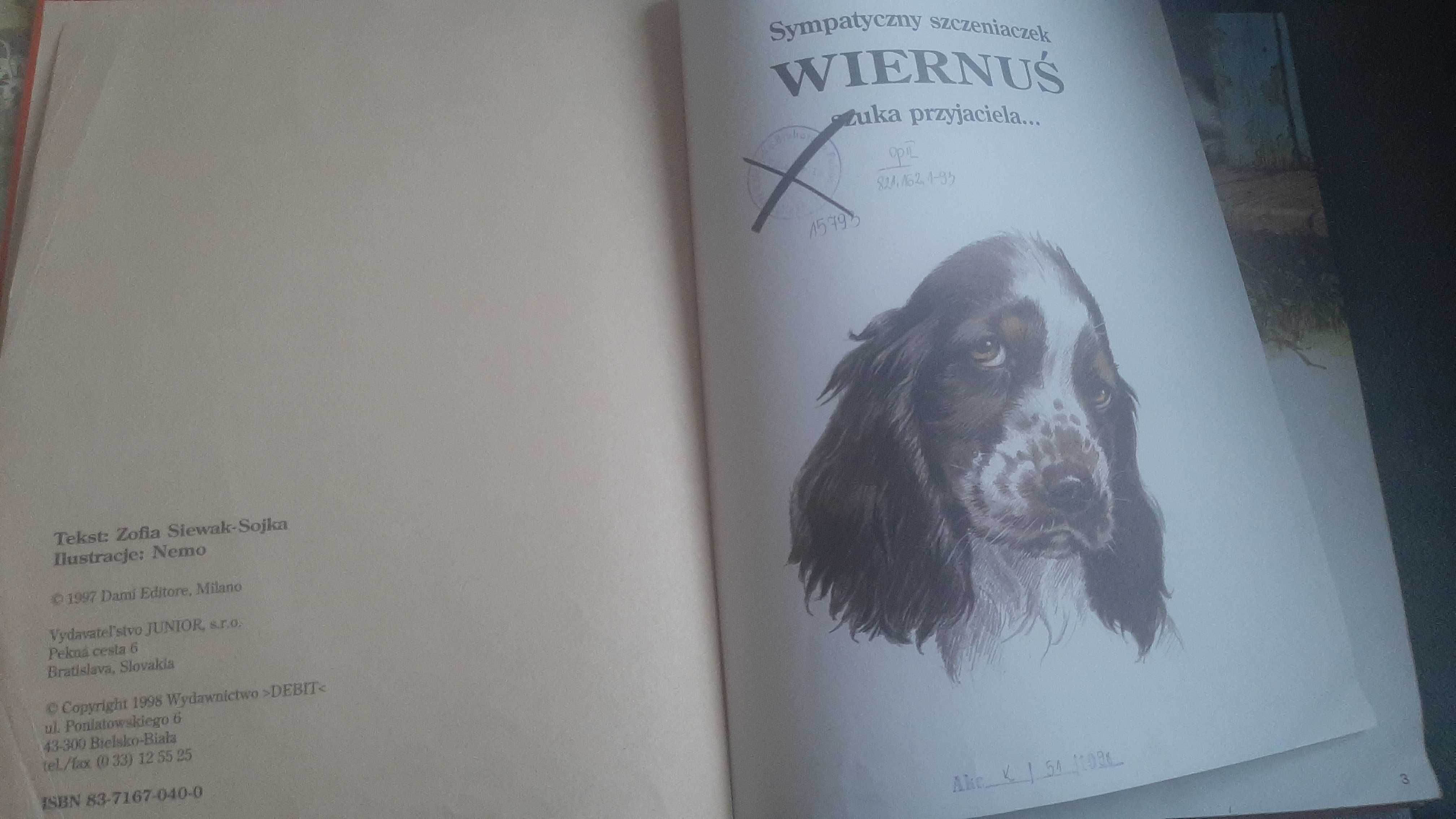 Wiernuś szuka przyjaciela Siewak-Sojka Bajki opowieści o zwierzątkach
