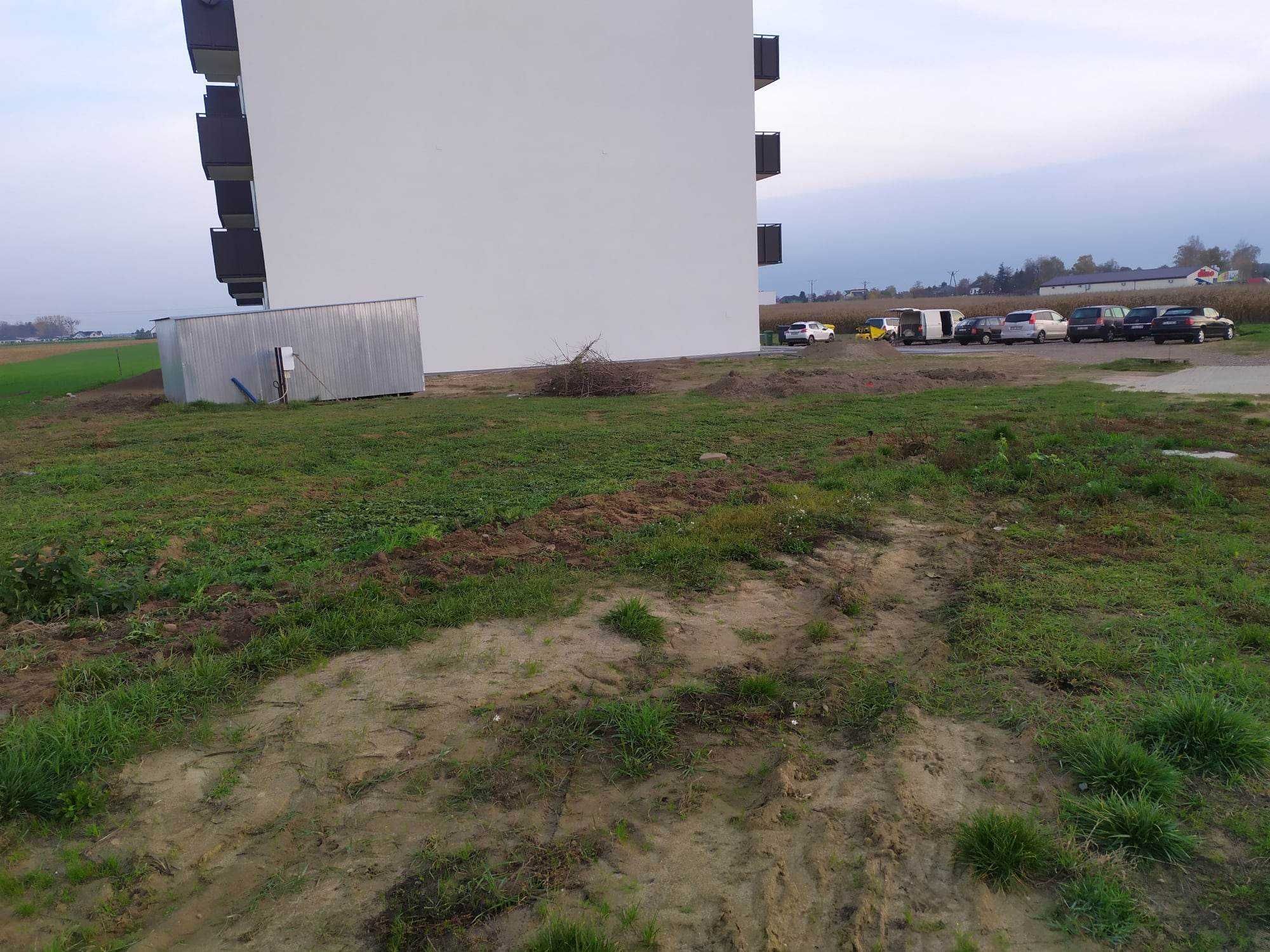 trawnik  siatka na krety glebogryzarka separacyjna ogród od podstaw