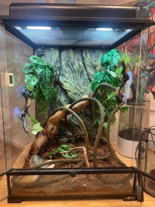 Terrario COMPLETO Répteis 60cm X 45 x 45cm já c/ tds os acessorios