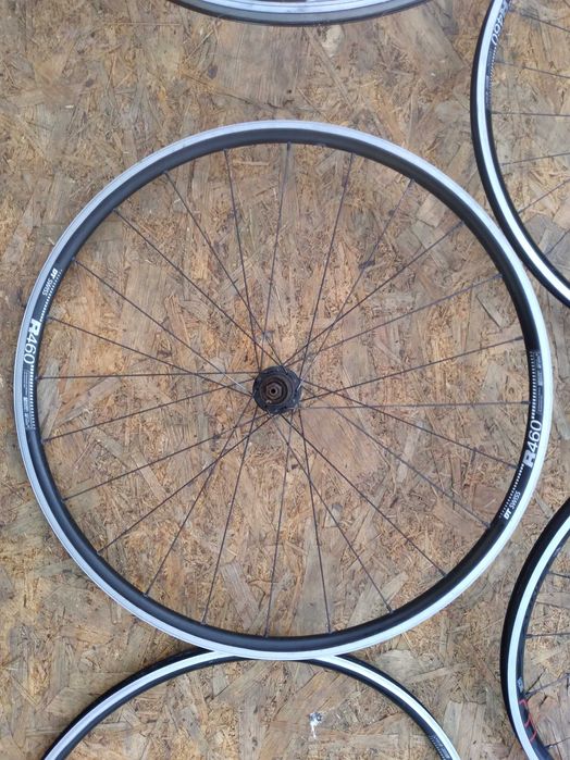Kola Dt Swiss R 460  , Giant