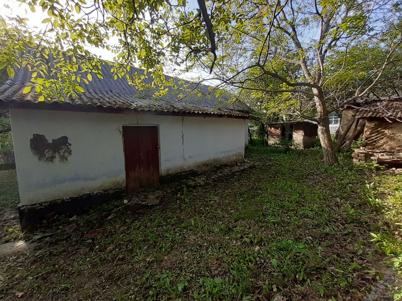Продам будинок в селі Обухів