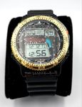 Citizen Promaster d-120 Solo Per Italia
