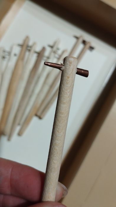 Писачок класичний