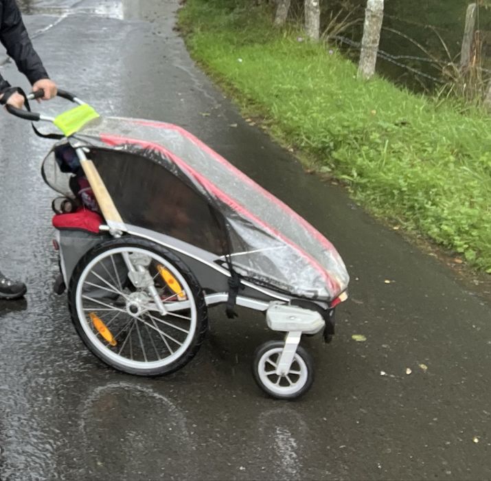 Chariot Tule Cougar 1