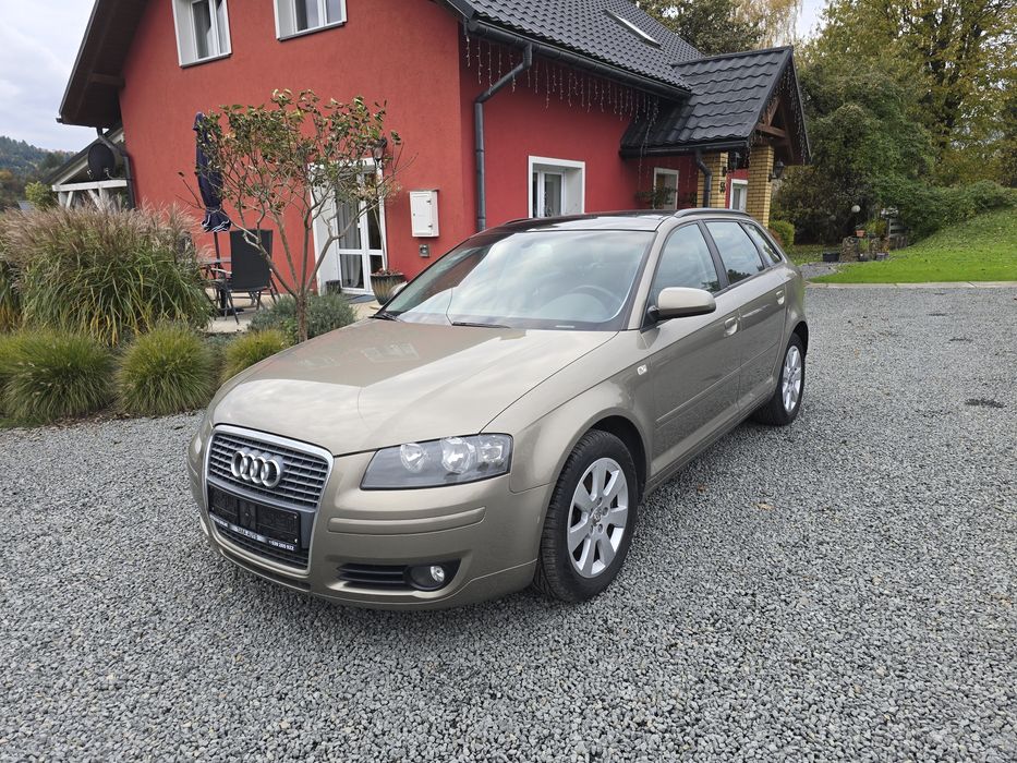 Audi A3 8P 1.9 TDI Dsg 2007r. Klima pdc Automat