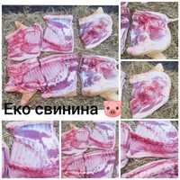 Домашня еко свинина