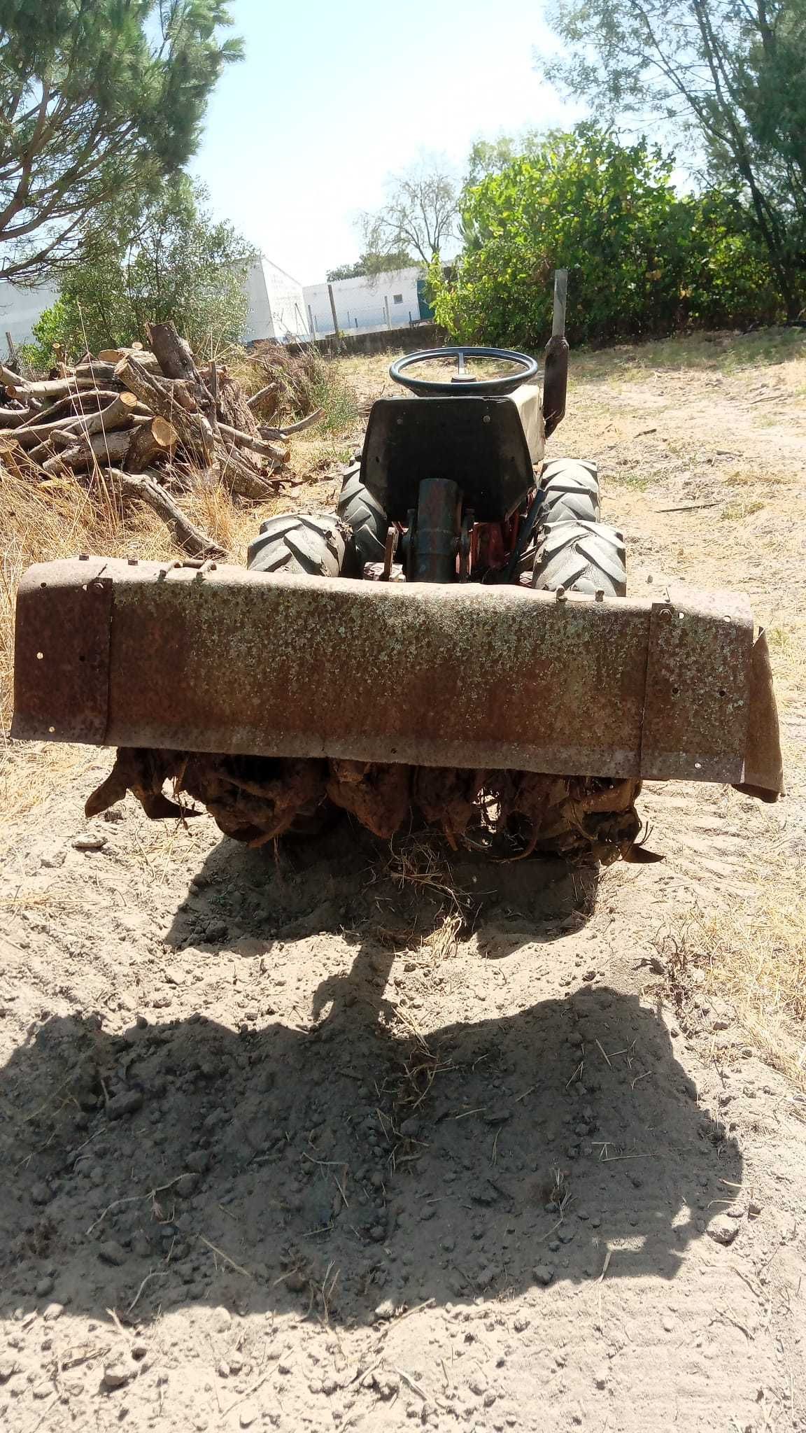 Trator articulado tração ás 4 pasqual 21Cv