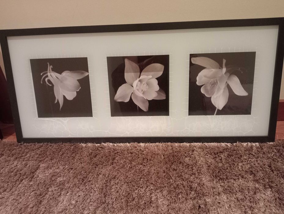 Quadro de parede
