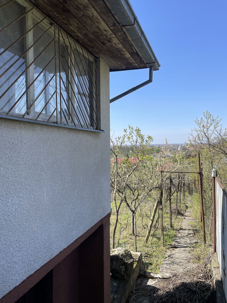Продам дачу в Виноградові