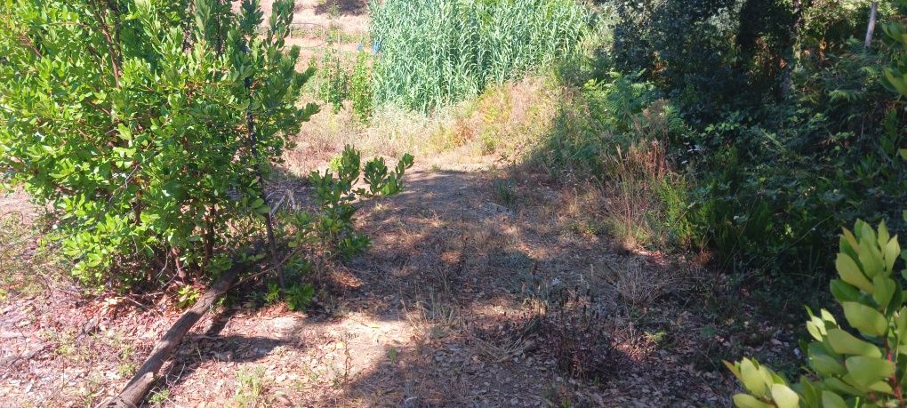 Terreno. A 20 minutos de Coimbra. Viabilidade construção