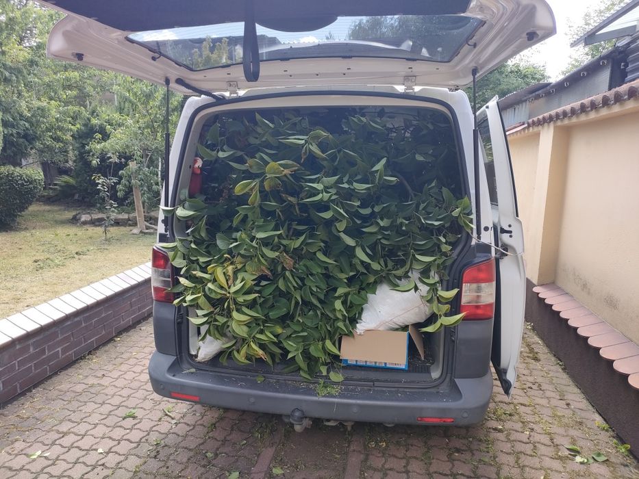 Złota rączka wszelkie naprawy awarie pomoc.