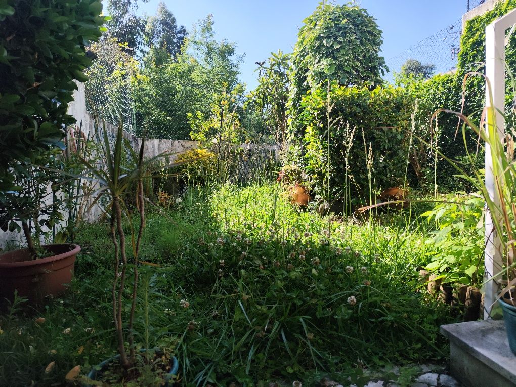 Limpeza de Terrenos e manutenção de jardins