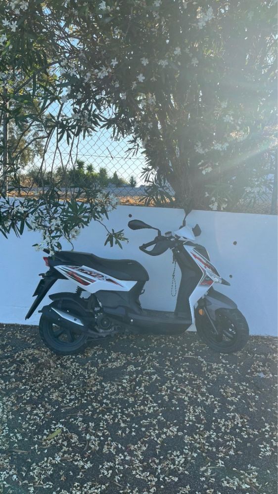 Sym crox 50 2020