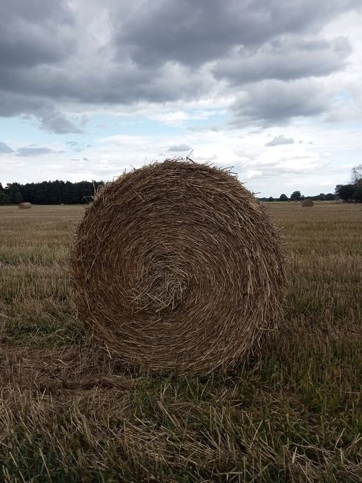 Sprzedam słomę 140/120