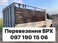 Перевезення ВРХ (корів, биків, телиць), коней та ін. худоби. Скотовоз
