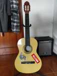 Guitarra para iniciantes