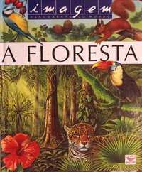 Livro A Floresta - Colecção Imagem Descoberta do Mundo
