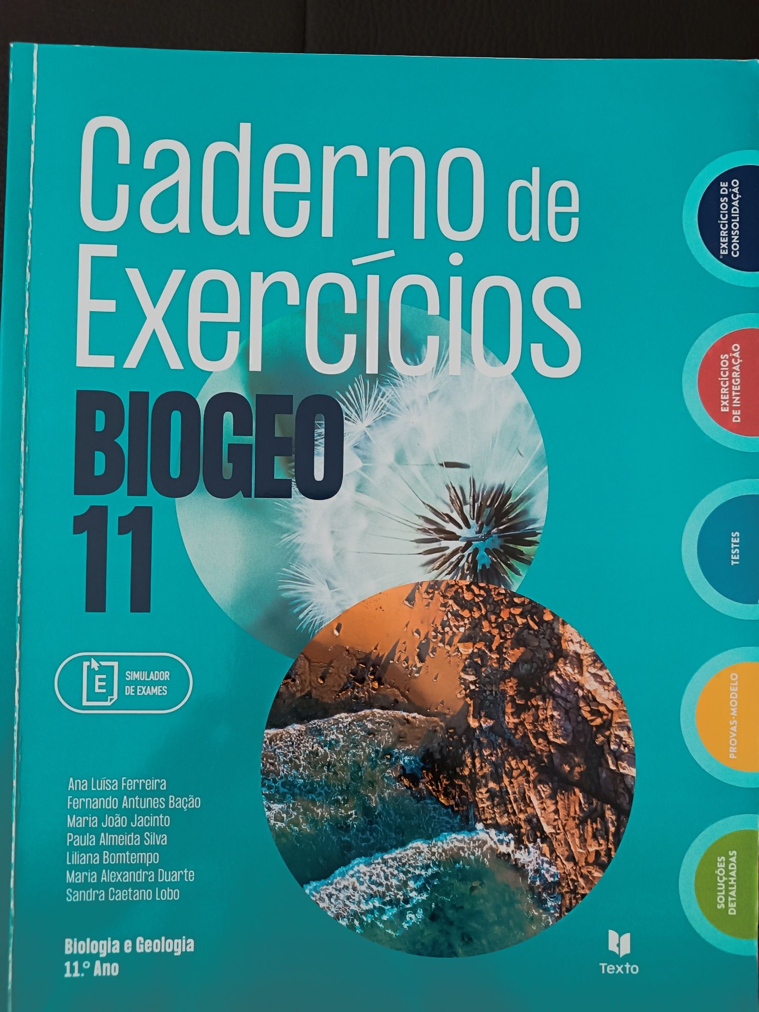 5 Cadernos de exercícios 11º ano