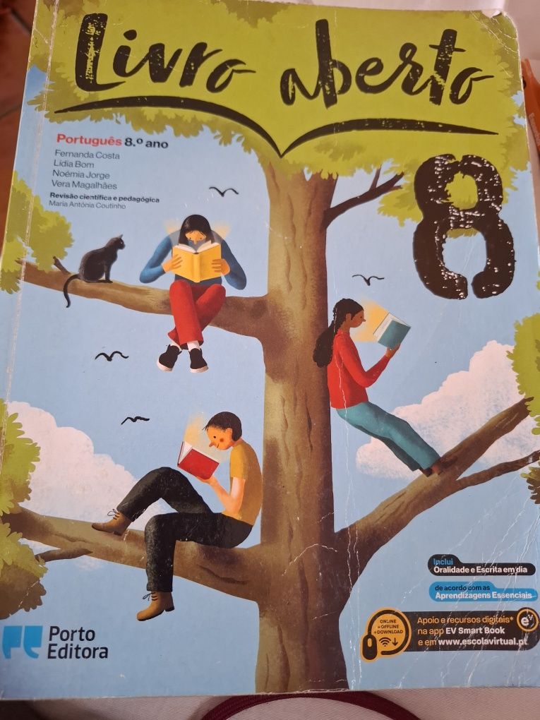 Livro aberto 8° ano