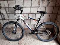 Rower KTM Avento Cross
