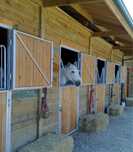 Arrendo 6 boxes para cavalos