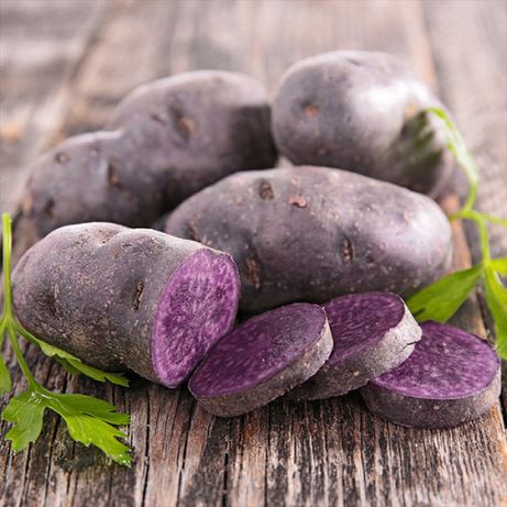 Солоха-фіолетова картопля