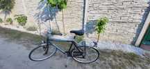 Rower miejski Gazelle