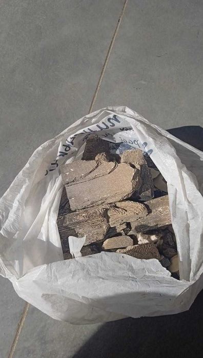 Скупка - Продати каталізатор куплю, здати сажевий фільтр, катализатор