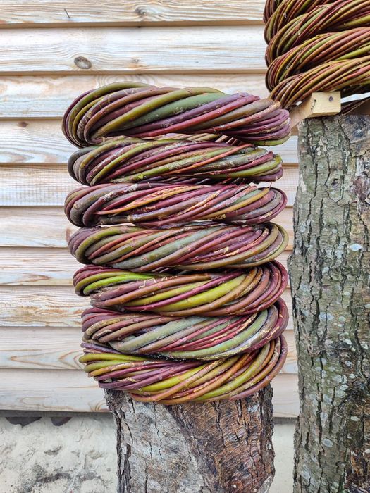 Вінок на двері, вінок різдвяний, новорічний. Майстер-клас. hall_dec